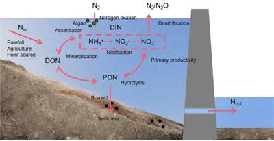 Effect of river damming on nutrient transport and transformation and its countermeasures